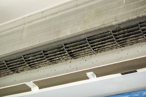 Best Ductwork Cleaning Services  in Martinez, CA